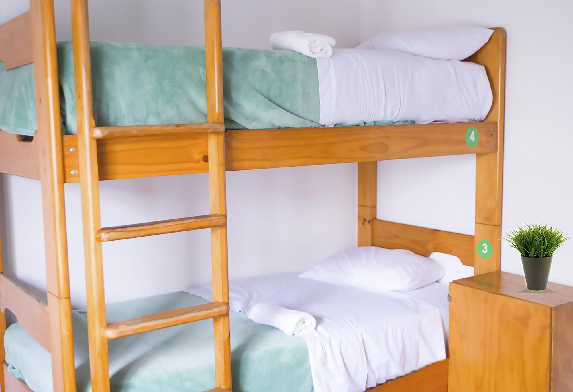 Red Llama Eco Hostel 리마 외부 사진
