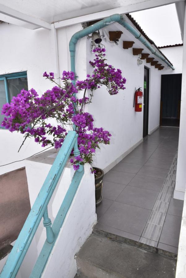 Red Llama Eco Hostel 리마 외부 사진