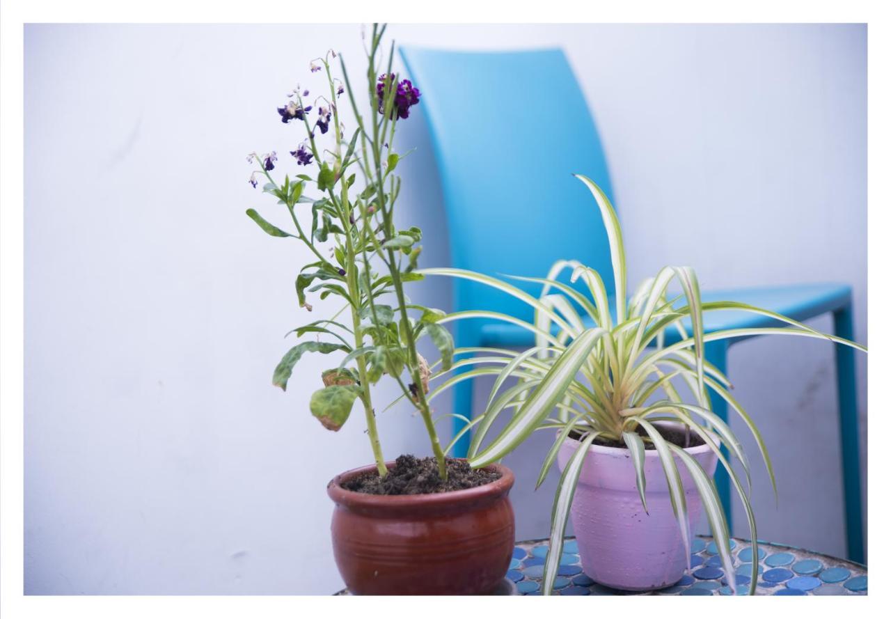 Red Llama Eco Hostel 리마 외부 사진